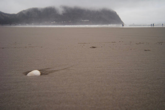Rain Clam Sand @ Seaside, OR - 03